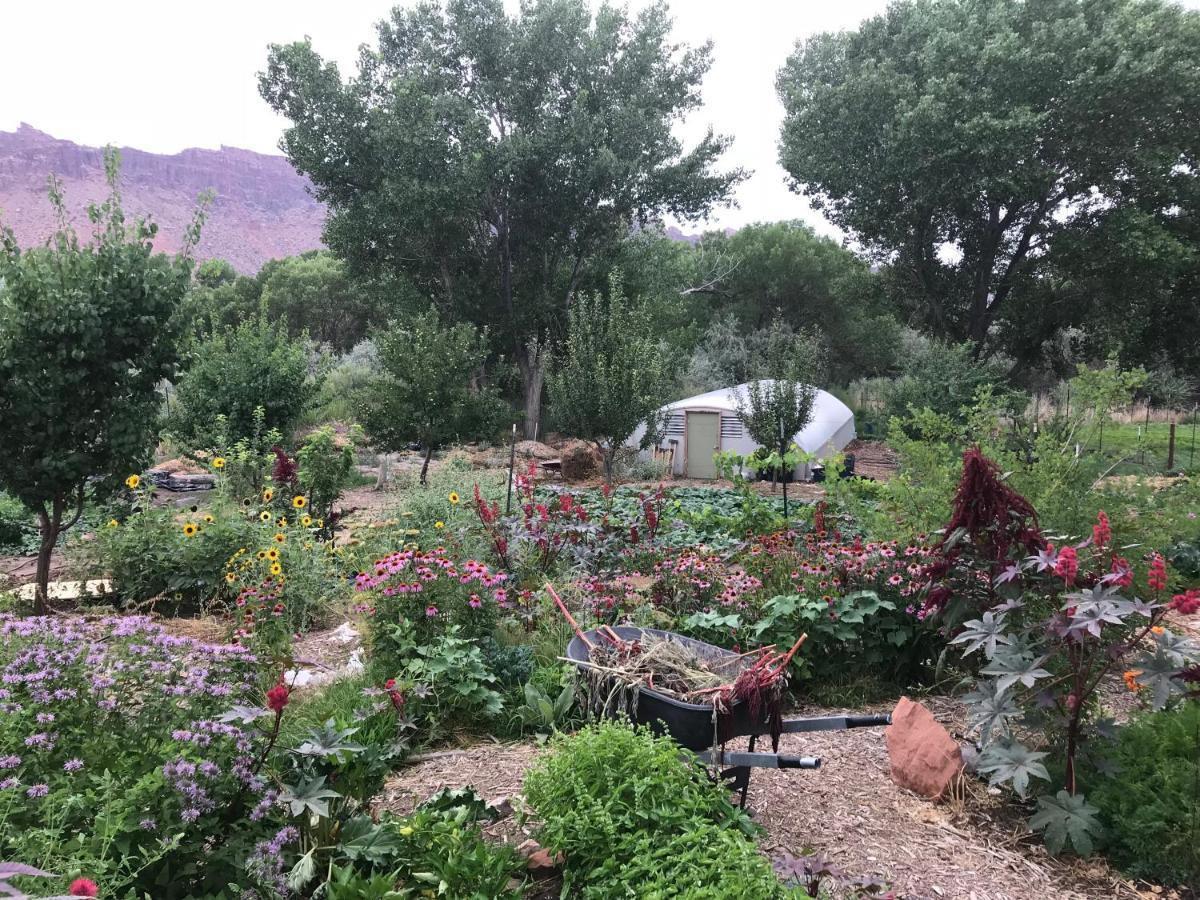 Red Moon Lodge Moab Luaran gambar